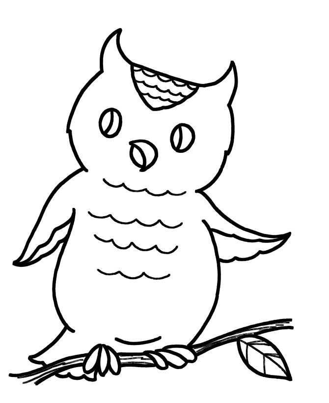 Show your kids a fun way to learn the abcs with alphabet printables they can color. Free Nocturnal Animals Coloring Pages Download Free Nocturnal Animals Coloring Pages Png Images Free Cliparts On Clipart Library