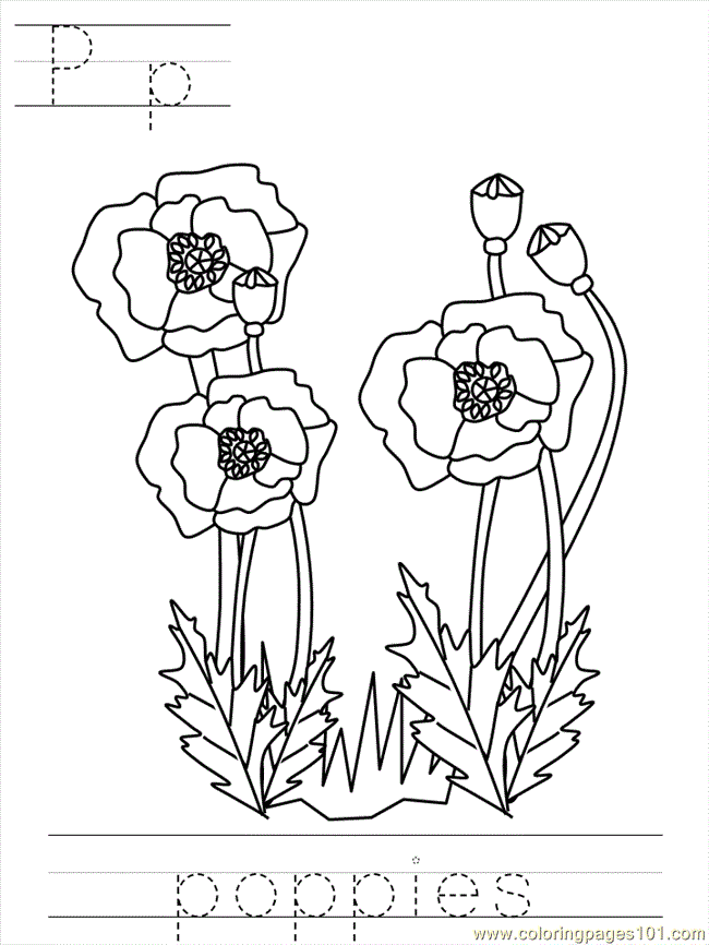 This drawing was made at internet users' disposal on 07 february 2106. Free Poppy Download Free Poppy Png Images Free Cliparts On Clipart Library