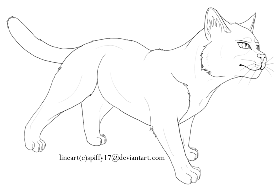 free warriors cat coloring pages download free warriors cat coloring pages png images free cliparts on clipart library