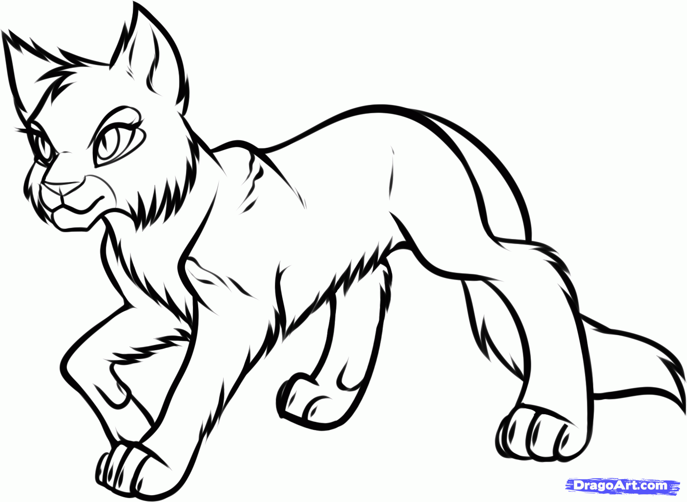 free warriors cat coloring pages download free warriors cat coloring pages png images free cliparts on clipart library