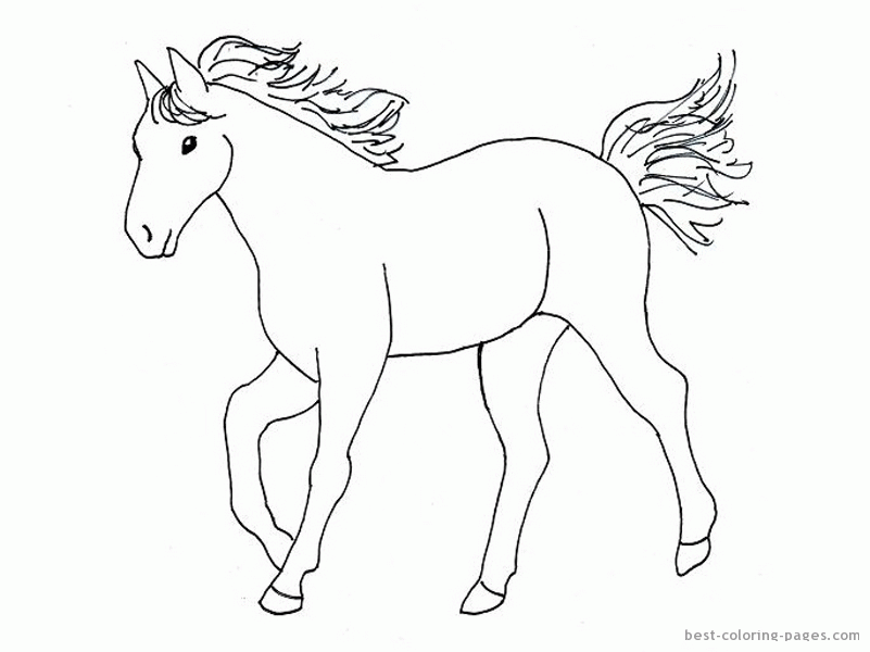 Are you searching horse coloring pages for your kids? Free Color In Horses Download Free Color In Horses Png Images Free Cliparts On Clipart Library