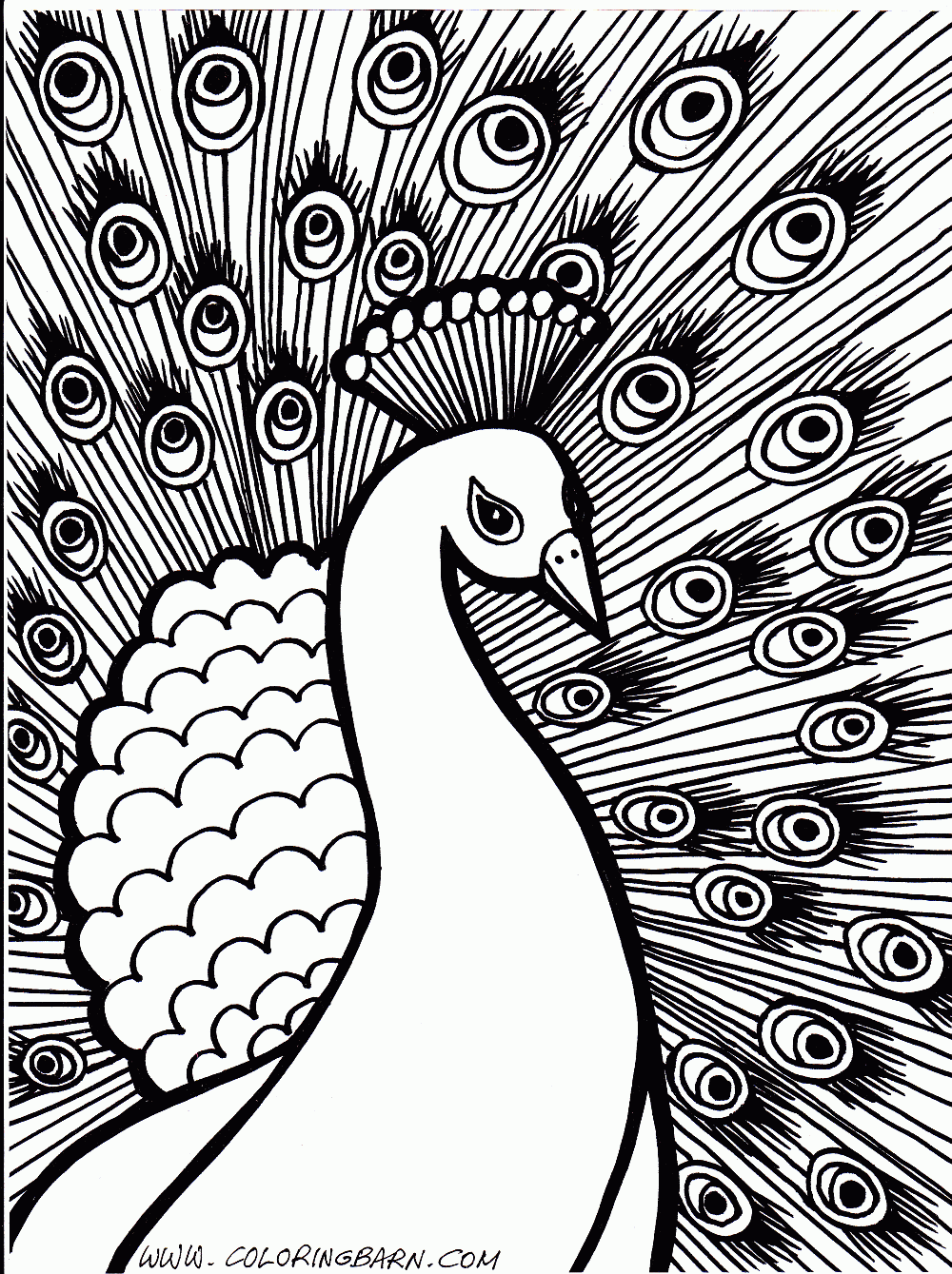 Hard coloring pages are a fun way for kids of all ages to develop creativity, focus, motor skills and color recognition. Easy Printable Peacock Coloring Pages Clip Art Library