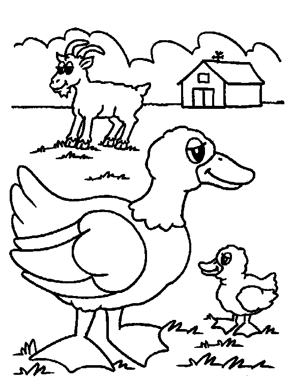 “old macdonald had a farm…. old macdonald had a farm coloring page - Clip Art Library