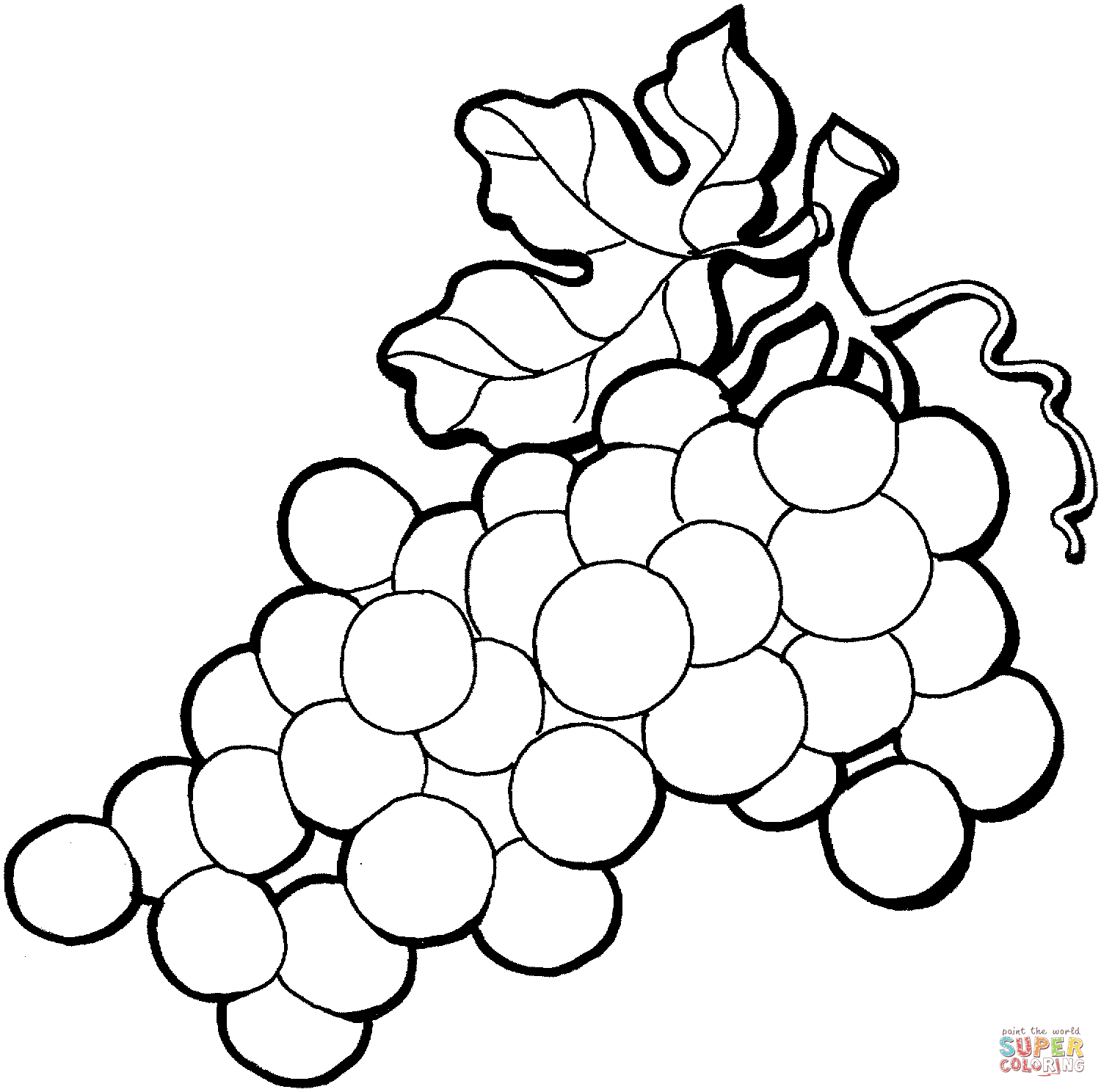 Free grapes coloring page, download free grapes coloring page png