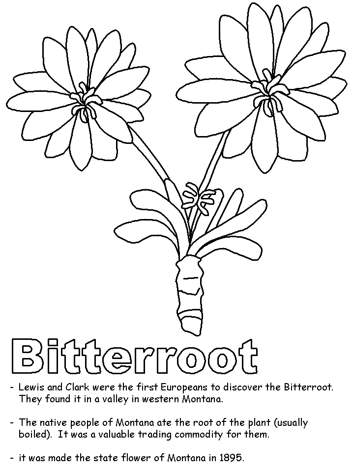 These printable sheets print crisp and clear. Free Montana Coloring Pages Download Free Montana Coloring Pages Png Images Free Cliparts On Clipart Library