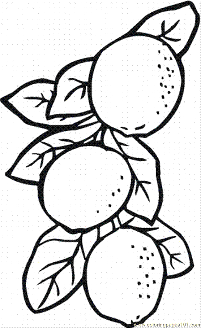 Kids education card with lemon fruit and outline letter l for coloring, vector illustration. Free Lemon Coloring Page Download Free Lemon Coloring Page Png Images Free Cliparts On Clipart Library