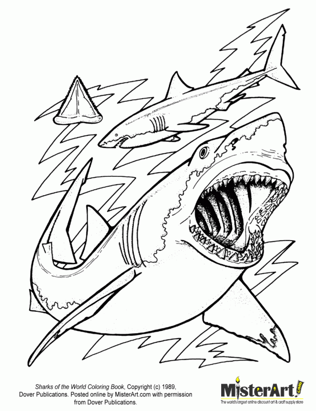 This means that you can get best drawings so you can entertain yourself while giving color to an animal that is the king of the seas. Free Shark Coloring Book Download Free Shark Coloring Book Png Images Free Cliparts On Clipart Library