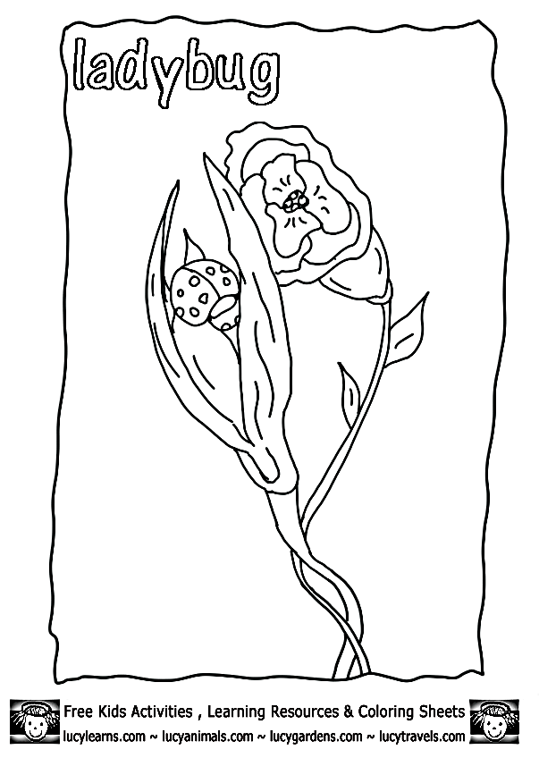 Hibernation coloring pages are a fun way for kids of all ages to develop creativity, focus, motor skills and color recognition. Free Hibernation Coloring Pages Download Free Hibernation Coloring Pages Png Images Free Cliparts On Clipart Library