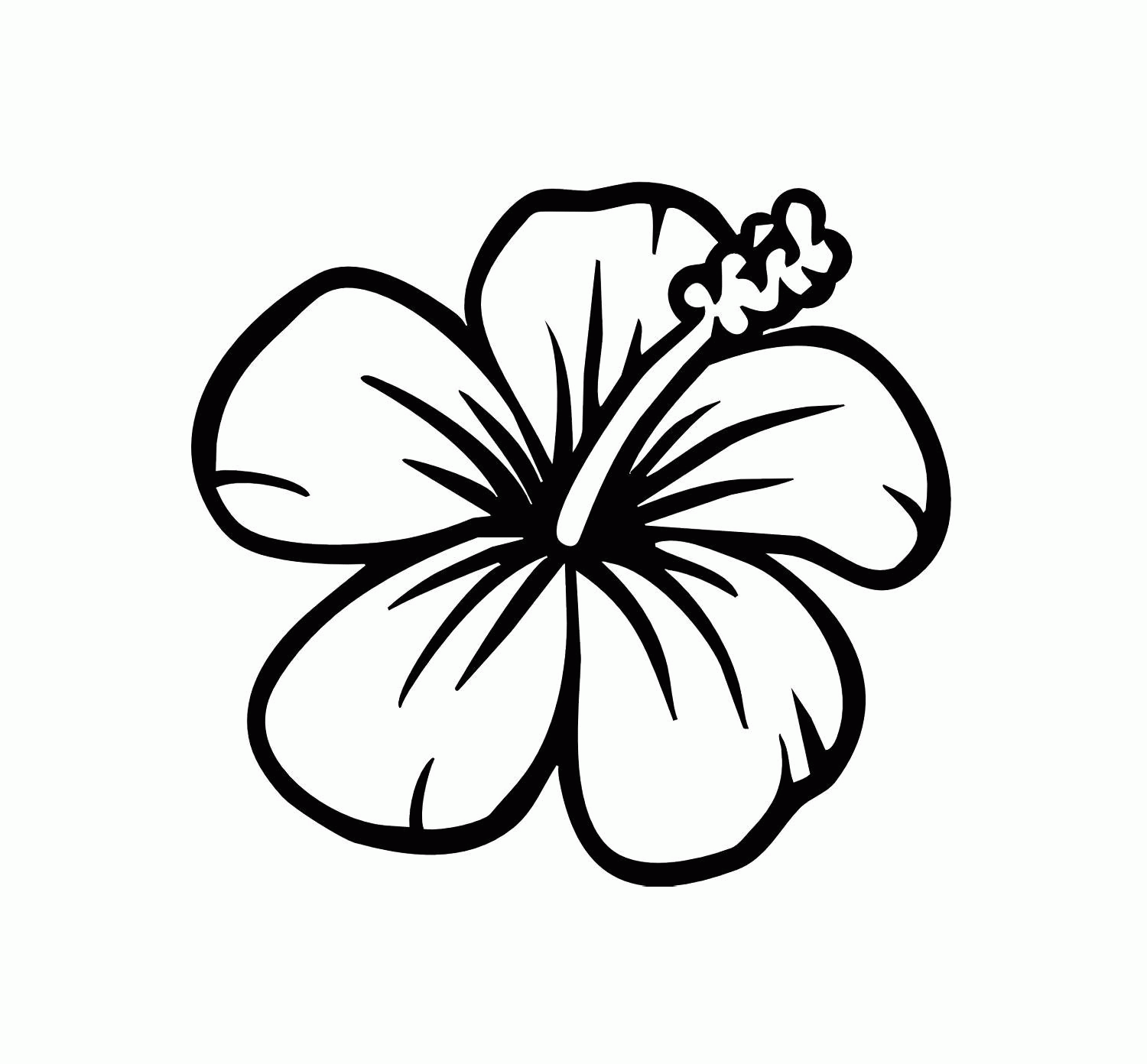 Set off fireworks to wish amer. Black And White Tropical Flower Clipart Clip Art Library