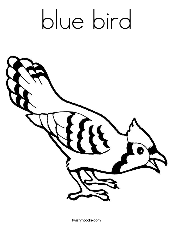 This can lead to droppings on your concrete and your cars, territorial birds harassing you and your pets and an unsightly buildup of. Free Bird Nest Coloring Page Download Free Bird Nest Coloring Page Png Images Free Cliparts On Clipart Library