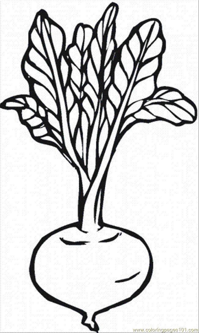 Check out our collection of 15 cute kitten coloring pages to print for free for you kids. Free Printable Coloring Pages Of Vegetables Download Free Printable Coloring Pages Of Vegetables Png Images Free Cliparts On Clipart Library