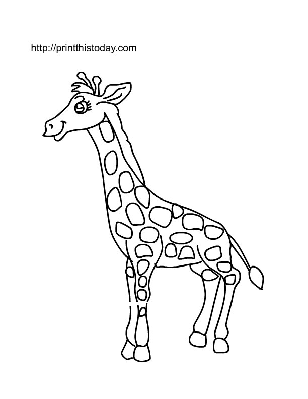 Free Printable Giraffe Pictures, Download Free Printable Giraffe