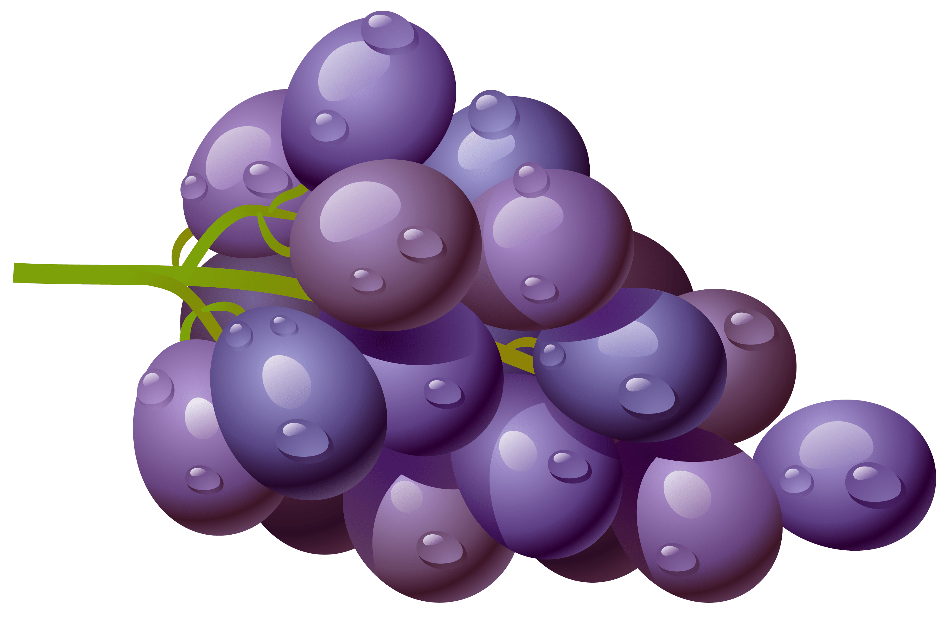 Free grapes vector png, download free grapes vector png png images