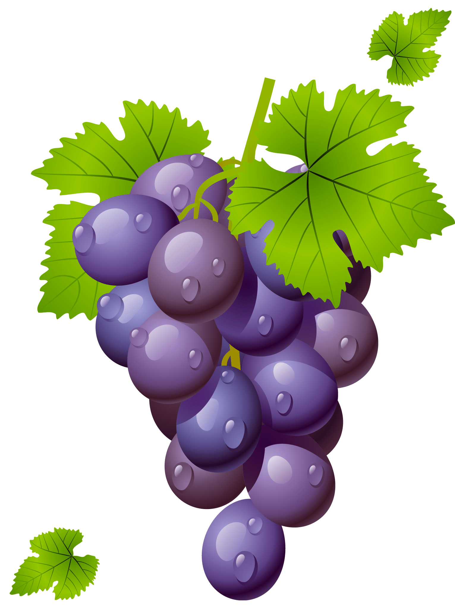 Free grape cliparts, download free grape cliparts png images, free