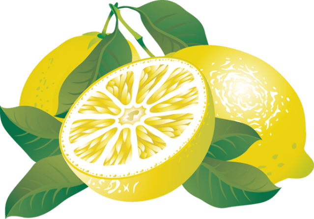 Slice, grapefruit, citrus, fruit, pink. Free citrus-cliparts, Download Free citrus-cliparts png
