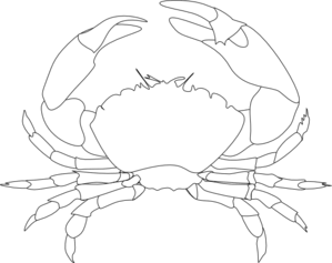 Clipart gummy bears gummy bear clipart gummy bear transparent worms png wmd can . Free Md Cliparts, Download Free Clip Art, Free Clip Art on