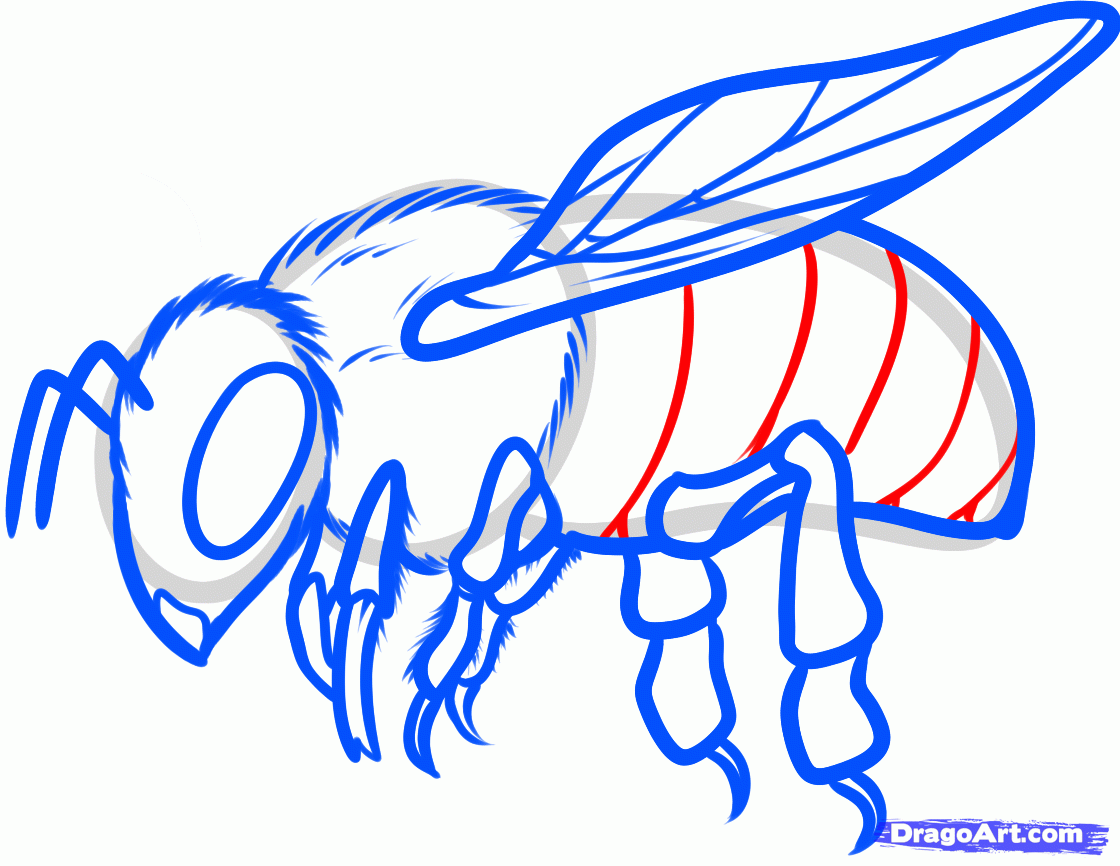 Queen Bee Tattoo - Clip Art Library 866_x_1120_gif