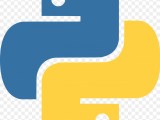 Python Langage Logo