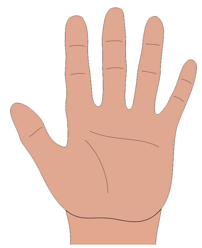 Free cartoon hands cliparts, download free cartoon hands cliparts png