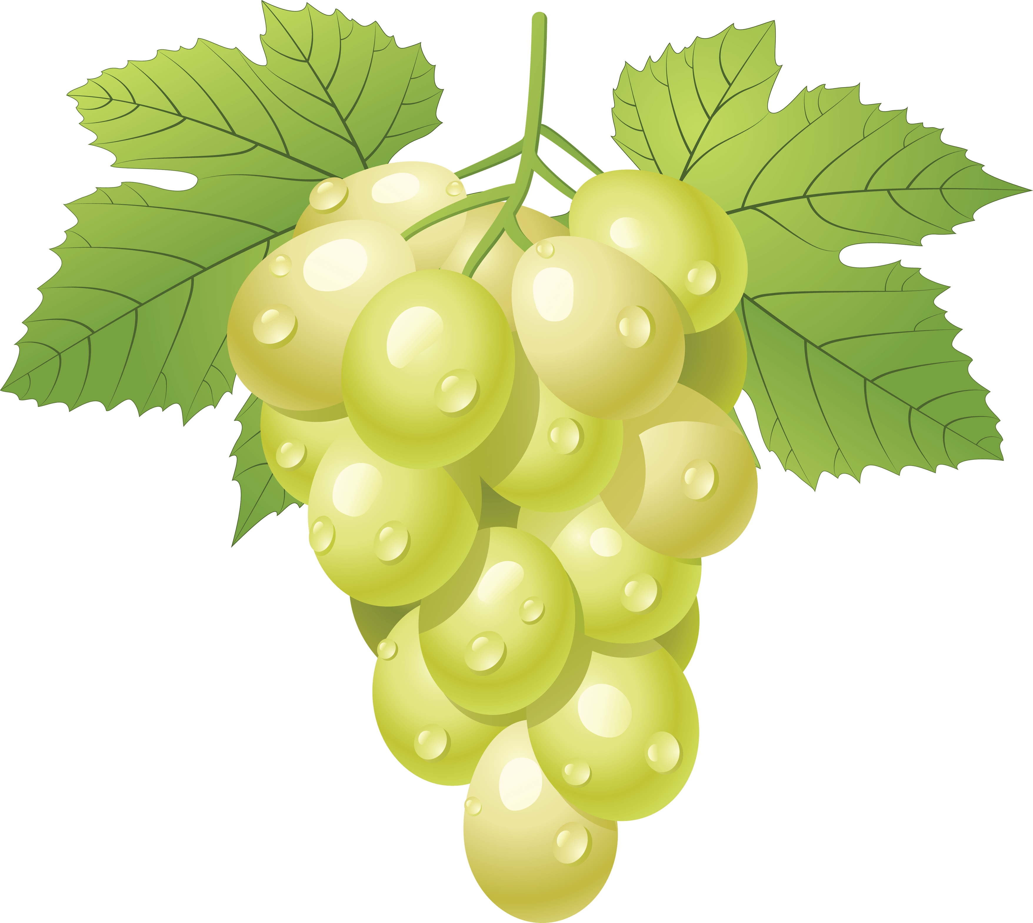 Free cartoon grapes cliparts, download free cartoon grapes cliparts png
