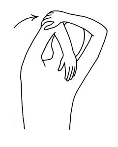 Find free pictures, photos, diagrams, images and information related to the human body right here at science kids. Free Shoulders Cliparts Diagram, Download Free Shoulders Cliparts Diagram png images, Free