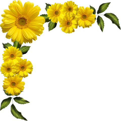 Free yellow flowers png, download free yellow flowers png png images