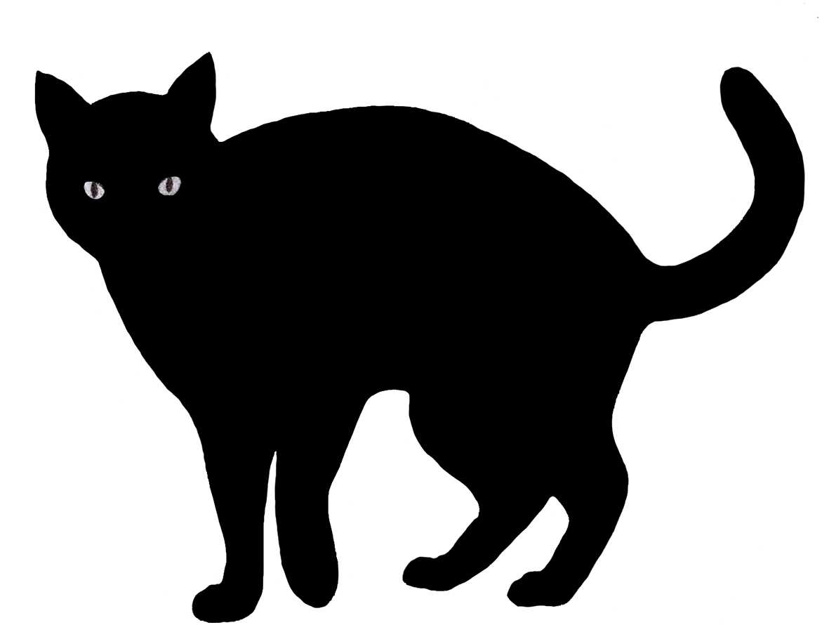 Black cat drawing silhouette