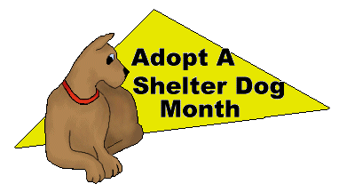Those cute little furry faces and those crazy antics are hard to resist on any day. Free Shelter Animals Cliparts, Download Free Shelter