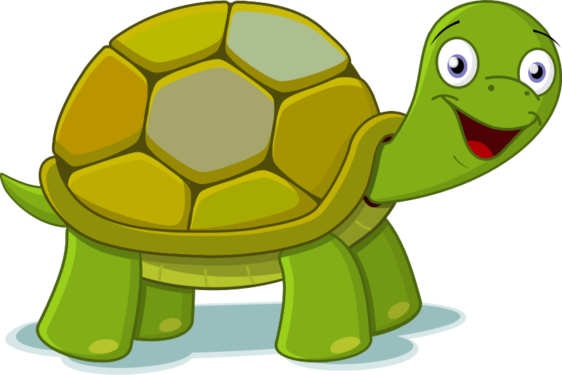 Cute tortoise clipart
