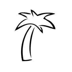 Palm Tree Drawing Outline Drawing Images Pictures