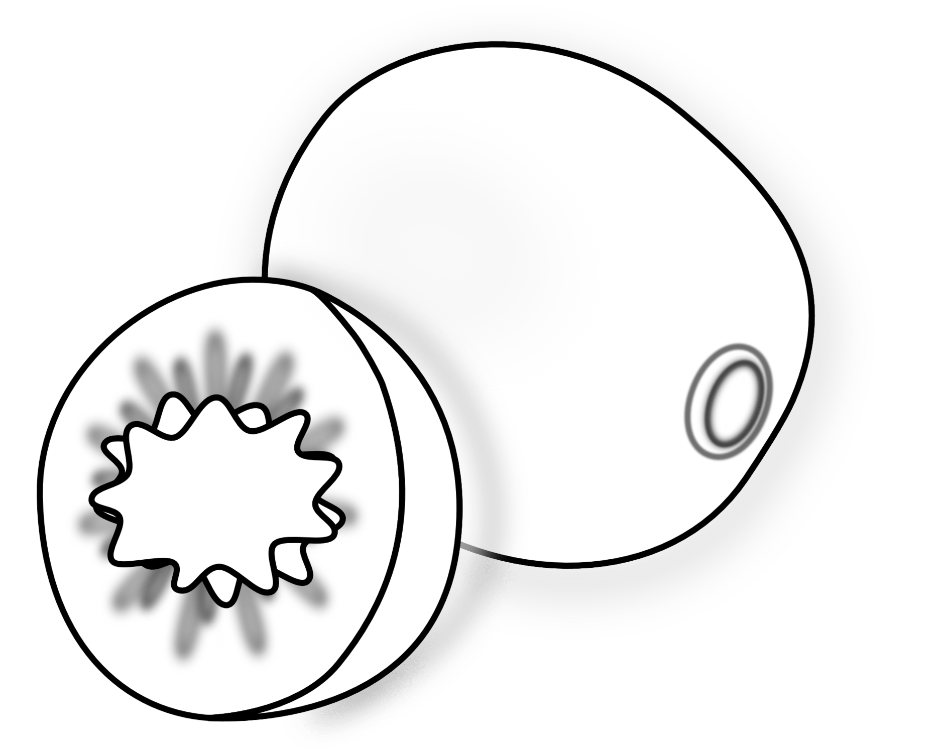 Kiwi fruit coloring pages free printable kiwi coloring pages. Kiwi Fruit Clipart Black And White Clip Art Library