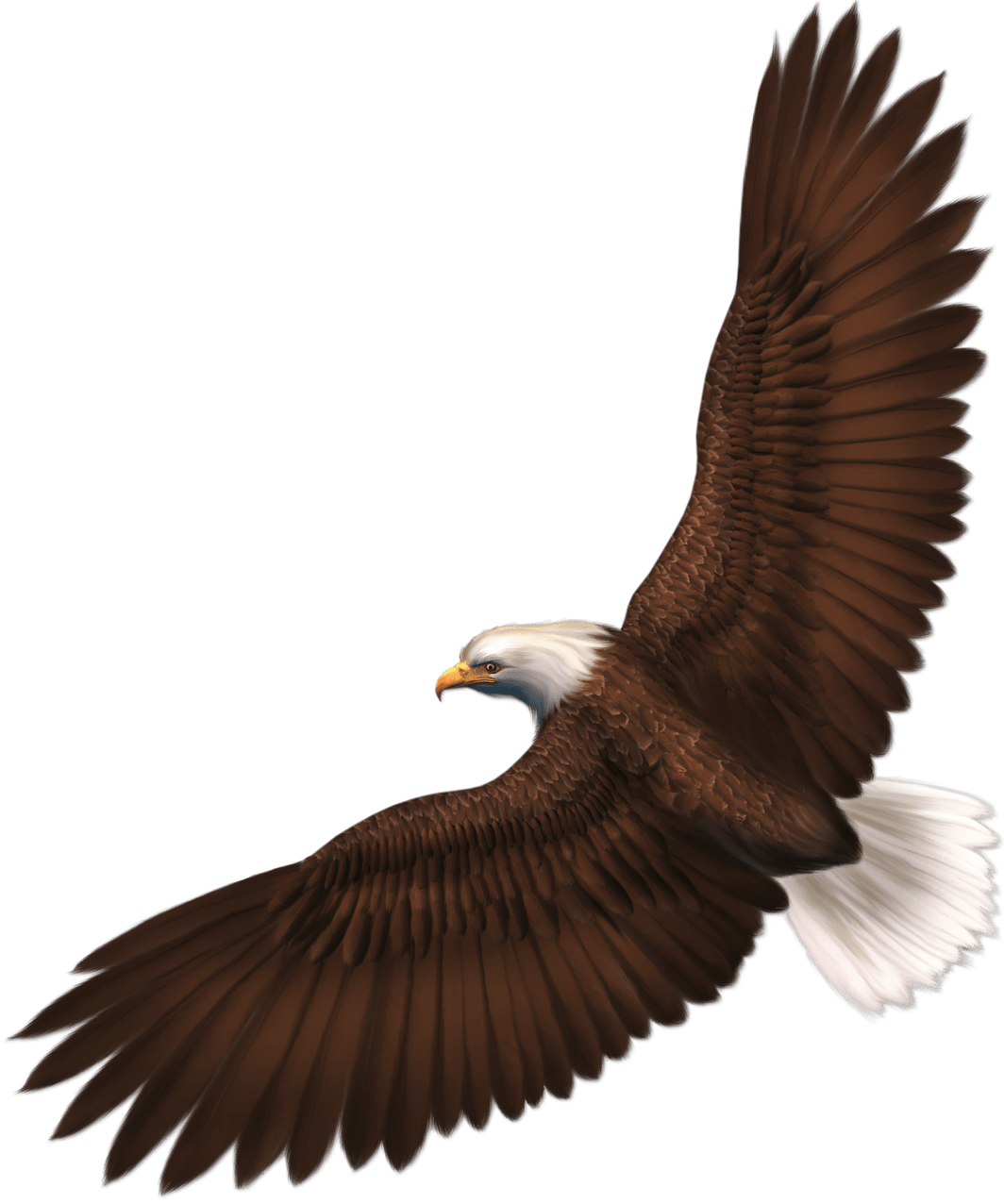 Free Eagle Cliparts Background Download Free Clip Art Free Clip Art On Clipart Library