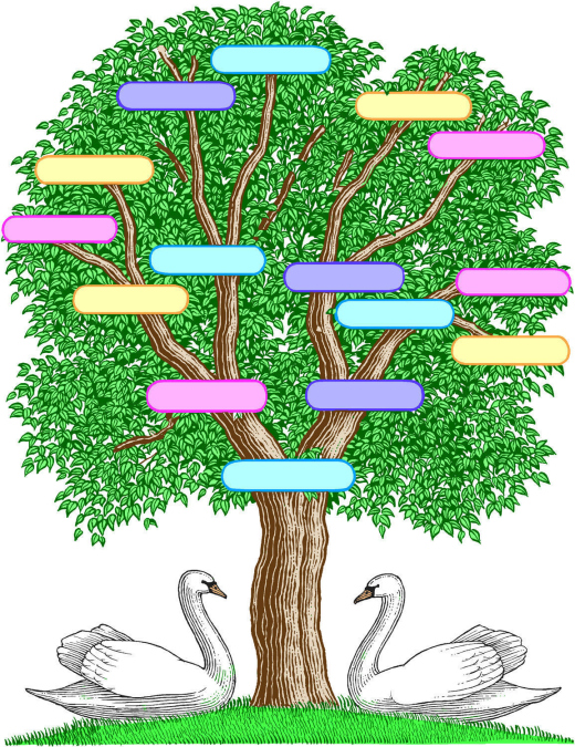 As you start to plan your family, it’s natural to ponder what that might look like. Parts Of Family Tree Clip Art Library