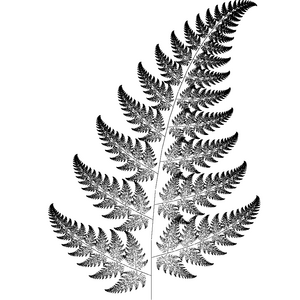 The traveled like the page fence giants in a railroad car. Free Fern Clip Art Black And White Download Free Fern Clip Art Black And White Png Images Free Cliparts On Clipart Library