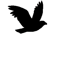 flying bird silhouette animated clipart flight birds cliparts transparent fly clip wings deviantart clipartbest books background wrong strongest solo those
