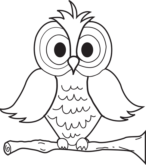 Nocturnal Bird Owl coloring pages 34 pictures cartoon clip ...