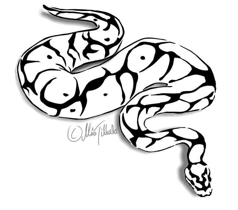 Ball python coloring page