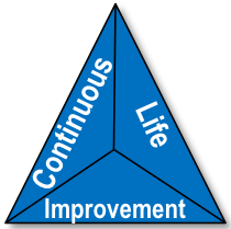 Continuous Life Improvement