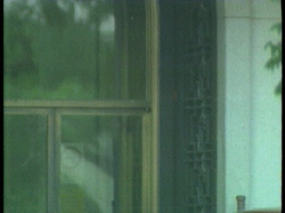 Dale Mihalko Of Meridian Bull, In St. Petersburg, Fl. / 60 Minutes 1968 Andrew Rooney Documentary Movie Videospace / Dale mihalko of meridian bull, in st.