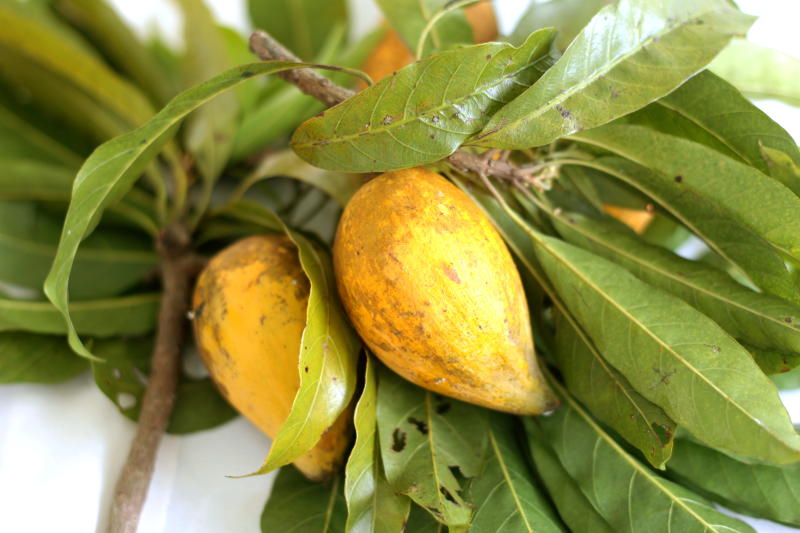 Negeri ini juga bersempadan dengan negeri perak di utara, pahang di timur, negeri … Pernah Dengar Buah Rokam Kenali 10 Buah Buahan Rare Yang Ada Di Malaysia I Suke Mstar