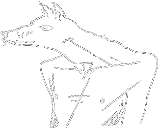 https://i0.wp.com/clivebarkercast.com/wp-content/uploads/2012/12/lola.gif?fit=328%2C262&ssl=1