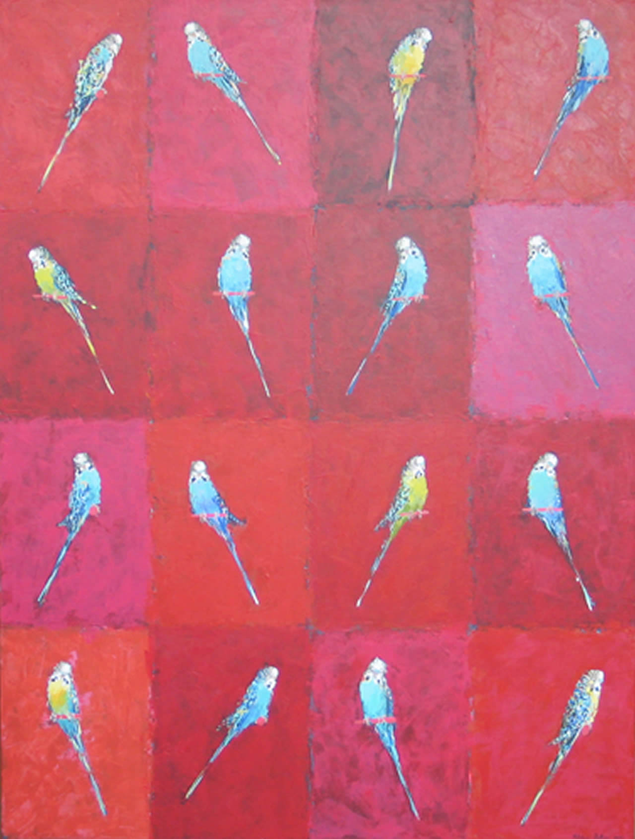 Budgerigar Grid on Red