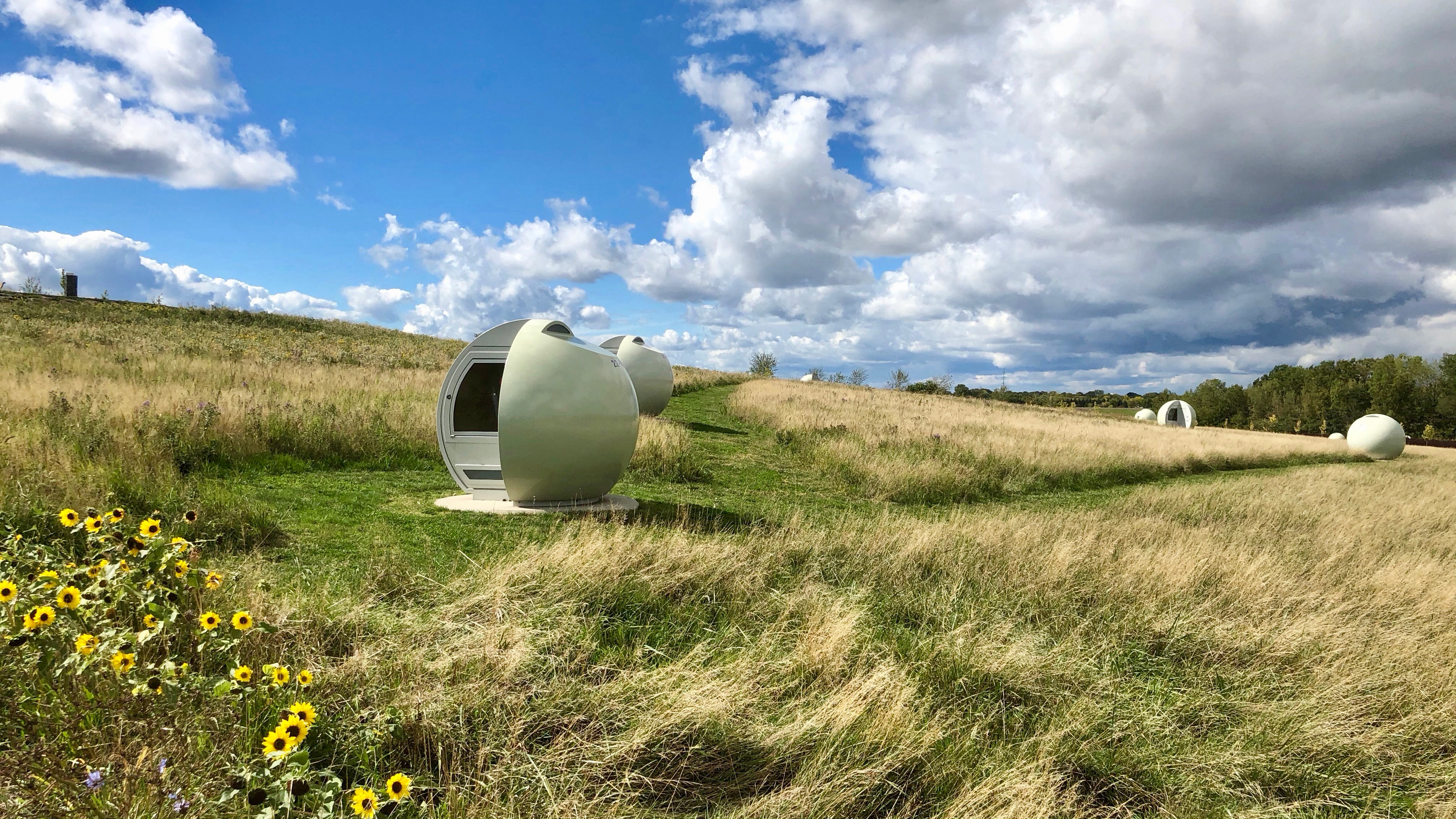 Field of bubbles and grass
