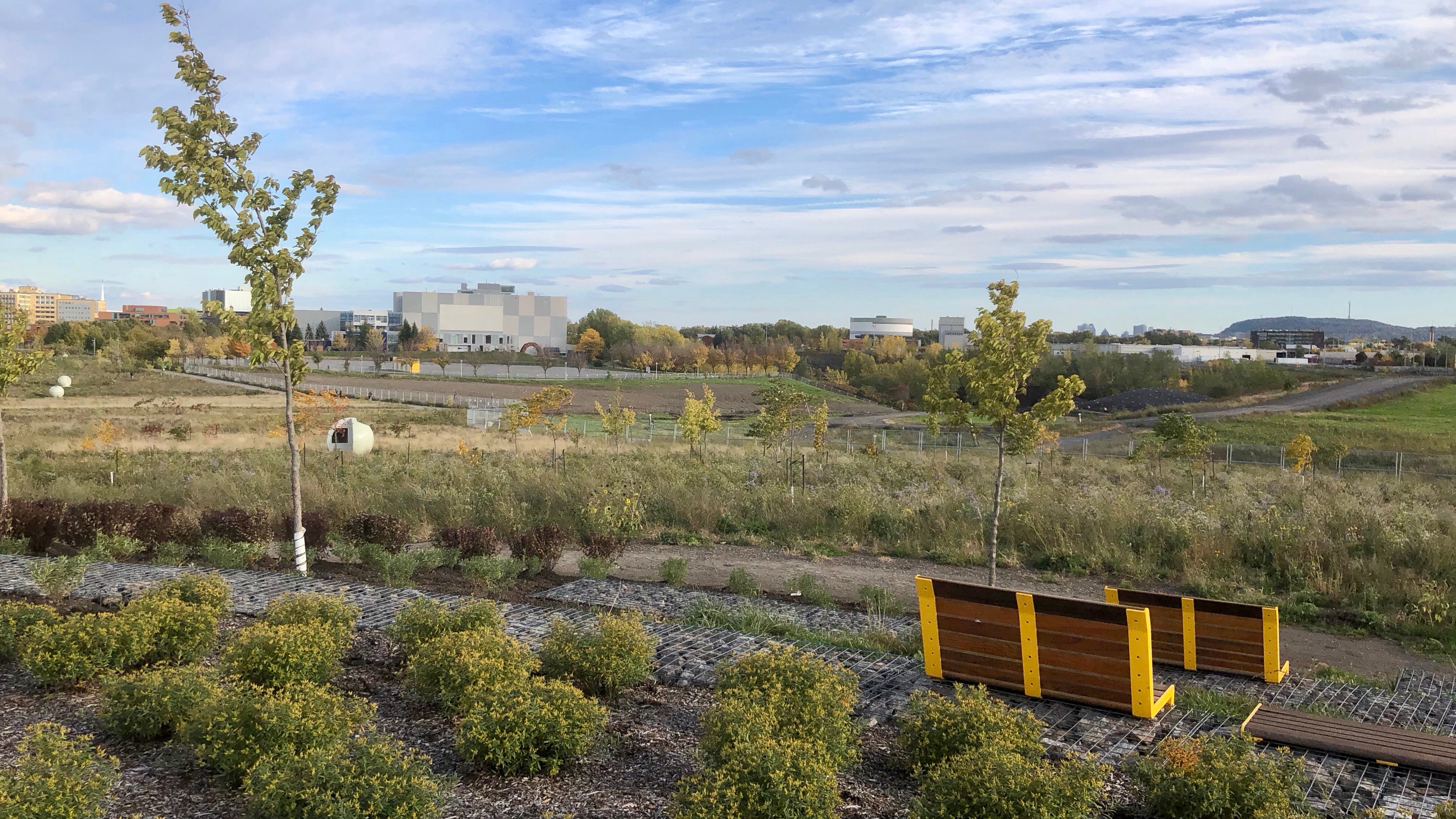 Cirque du Soleil view from the top of the hill