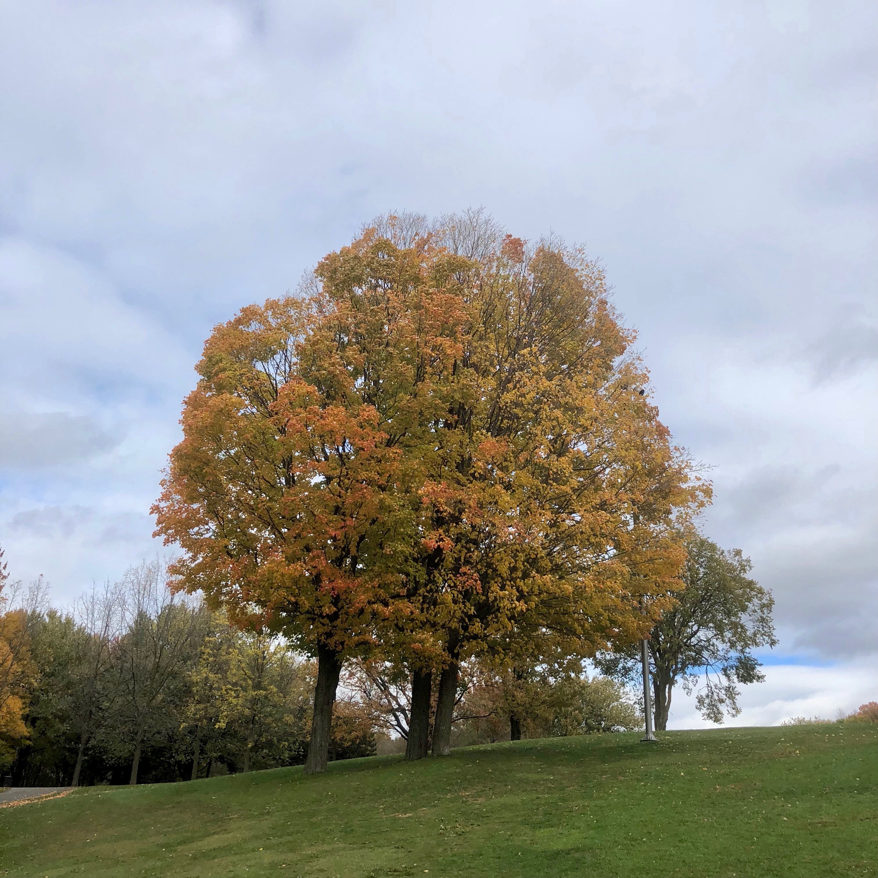 Three on the hill dominating Beaver Lake