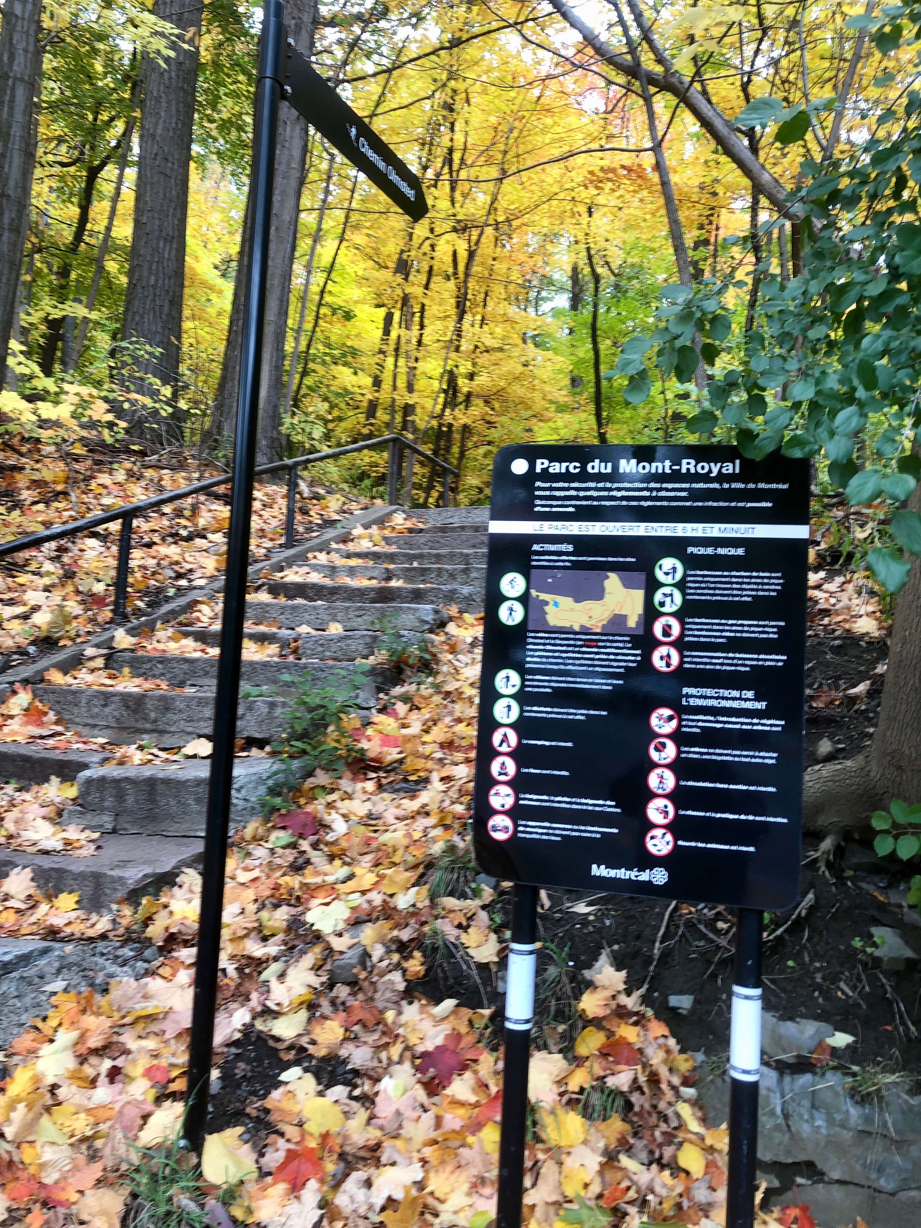 Olmsted trail down to Cedar Ave