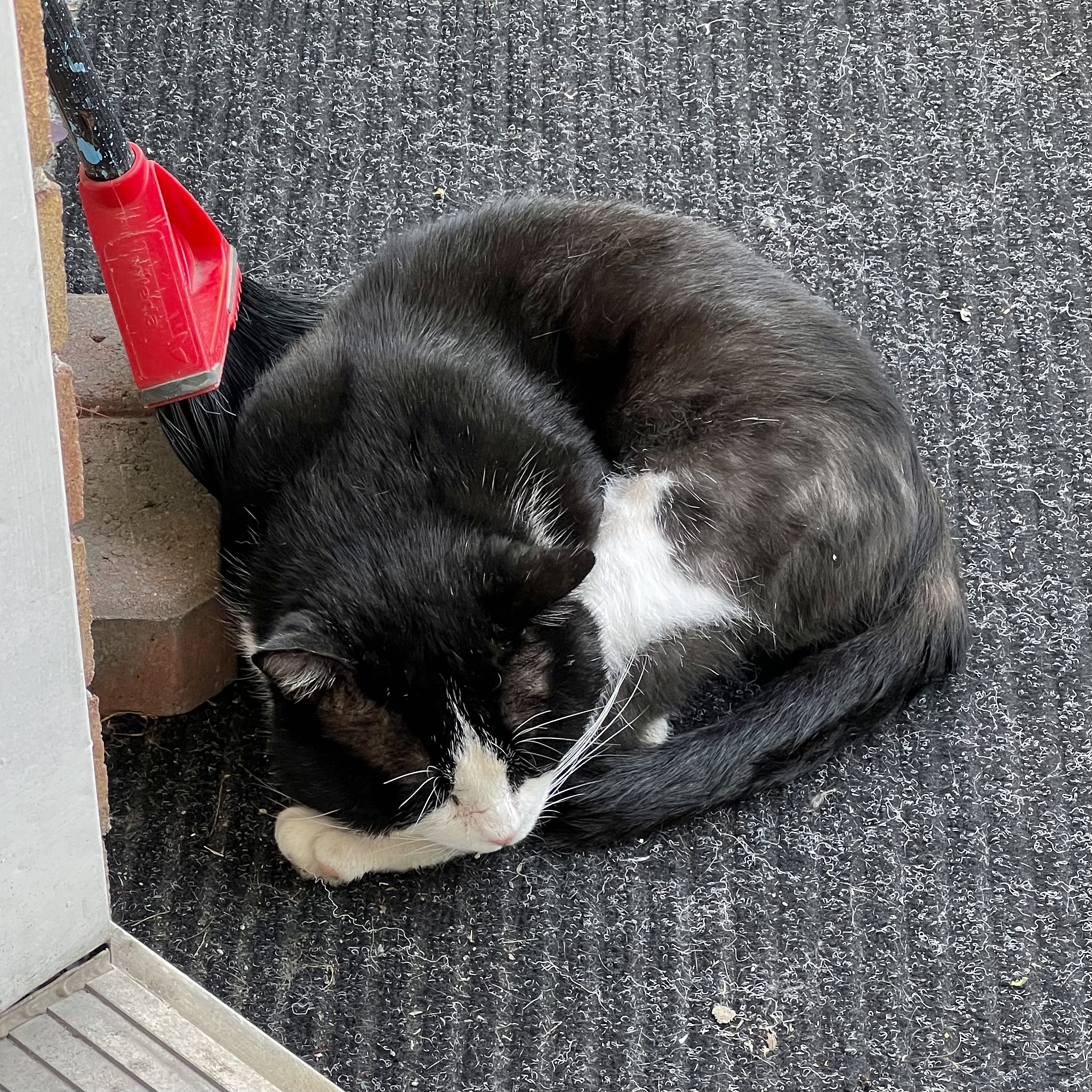 Et dormant sur le balcon