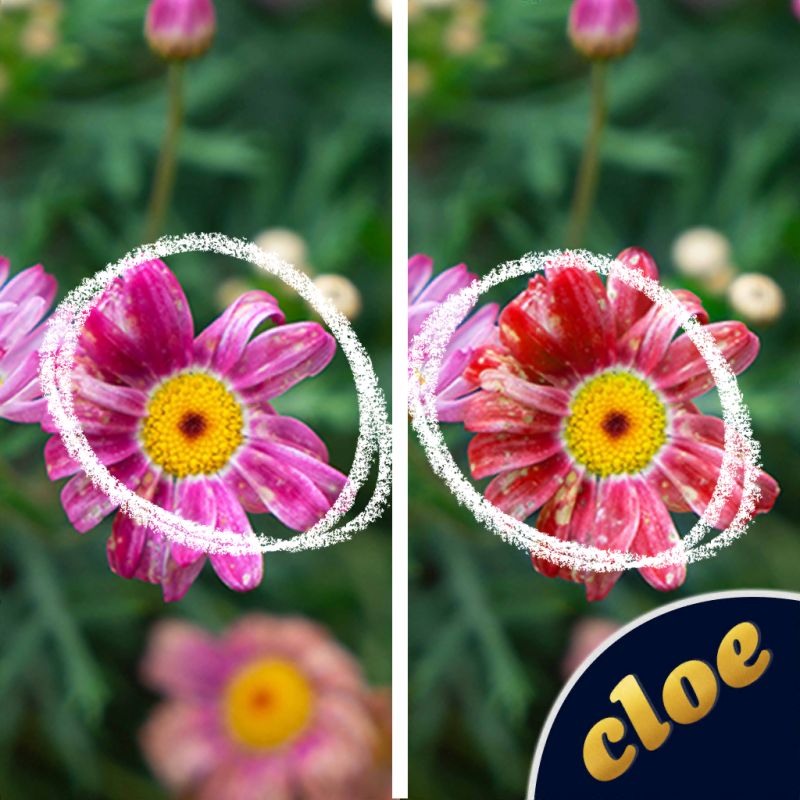 Github Ramble Lo Find The Differences Ui Find The Differences Ui - High Resolution Vintage Textures for Desktop