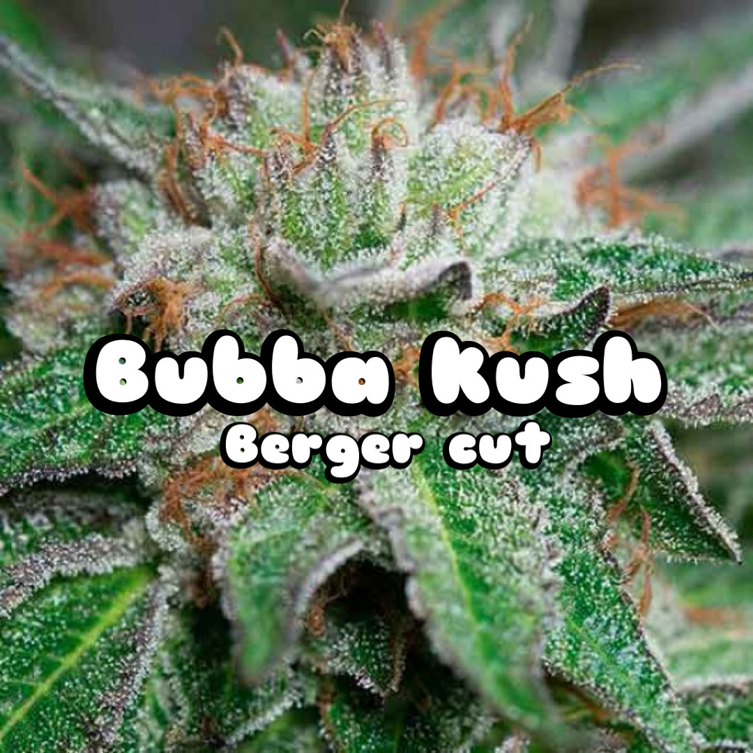 Bubba Kush (Berger)