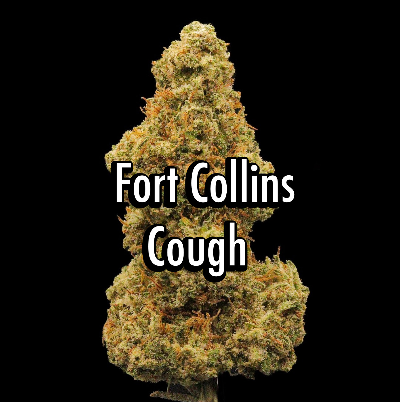 Fort Collins Cough